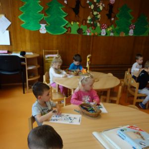 PEJSEK_listopad 2025