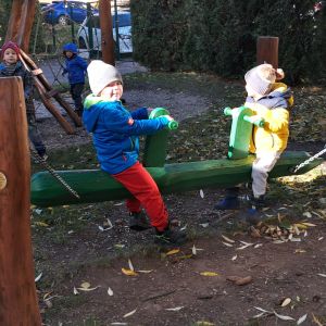 PEJSEK_listopad 2025