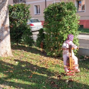 PEJSEK_listopad 2025