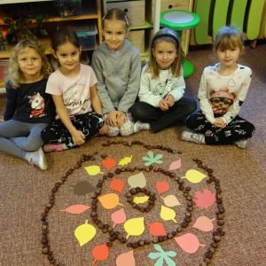 KOČIČKY_listopad 2025