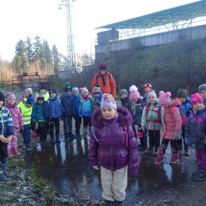 KOČIČKY v podzimním lese