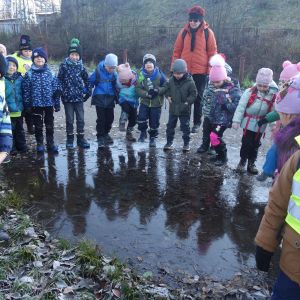 KOČIČKY v podzimním lese