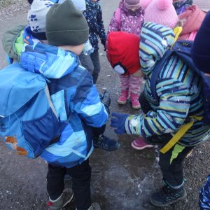 KOČIČKY v podzimním lese