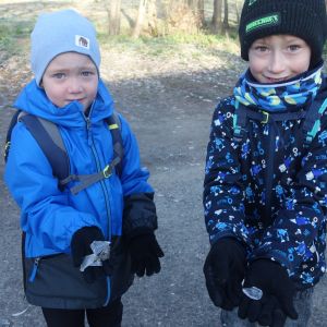 KOČIČKY v podzimním lese