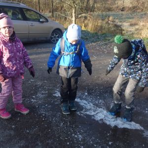 KOČIČKY v podzimním lese