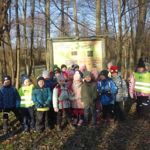 KOČIČKY v podzimním lese