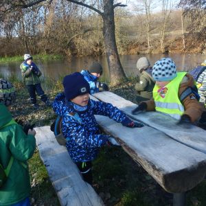 KOČIČKY v podzimním lese