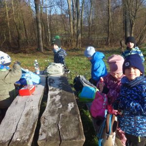 KOČIČKY v podzimním lese