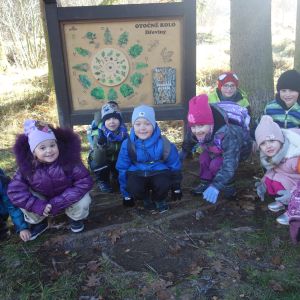 KOČIČKY v podzimním lese