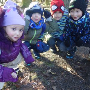 KOČIČKY v podzimním lese