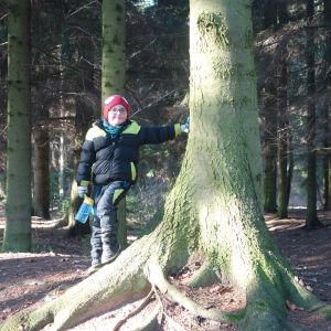 KOČIČKY v podzimním lese