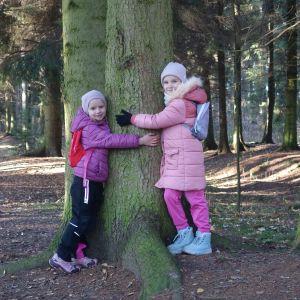 KOČIČKY v podzimním lese