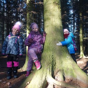 KOČIČKY v podzimním lese