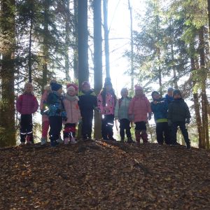 KOČIČKY v podzimním lese