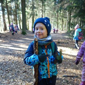 KOČIČKY v podzimním lese