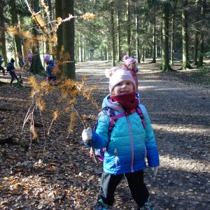 KOČIČKY v podzimním lese