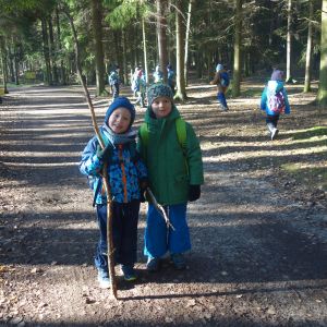 KOČIČKY v podzimním lese