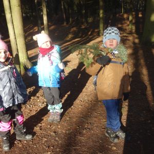 KOČIČKY v podzimním lese