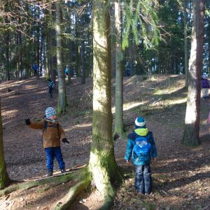 KOČIČKY v podzimním lese