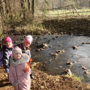 KOČIČKY v podzimním lese