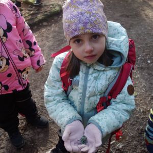 KOČIČKY v podzimním lese