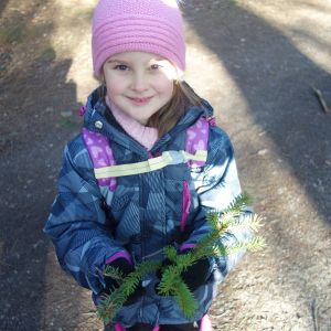 KOČIČKY v podzimním lese