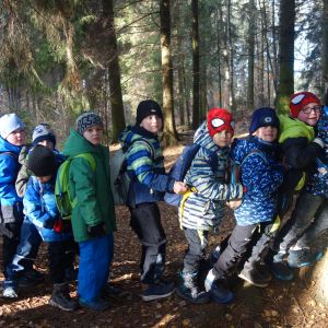 KOČIČKY v podzimním lese