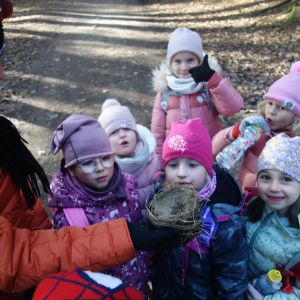 KOČIČKY v podzimním lese