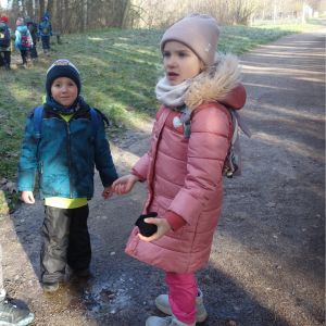 KOČIČKY v podzimním lese