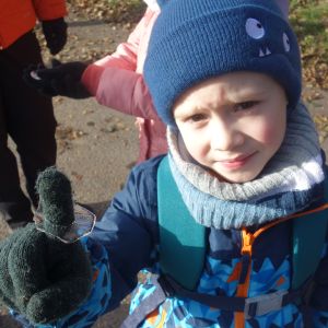 KOČIČKY v podzimním lese