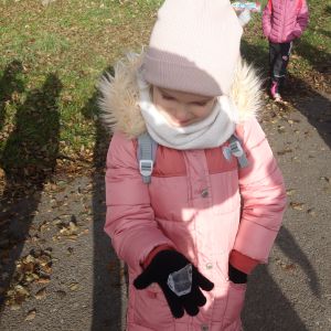 KOČIČKY v podzimním lese