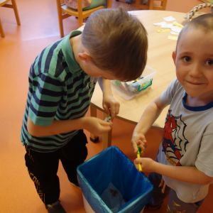 KOČIČKY_listopad 2025