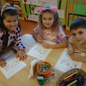 KOČIČKY_listopad 2025