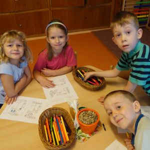 KOČIČKY_listopad 2025