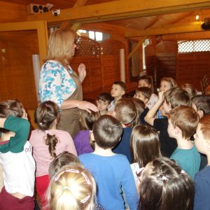 KOČIČKY_Perníčkovna U Radešínka