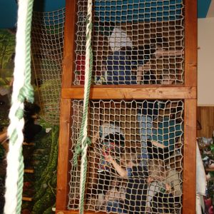 KOČIČKY_Perníčkovna U Radešínka