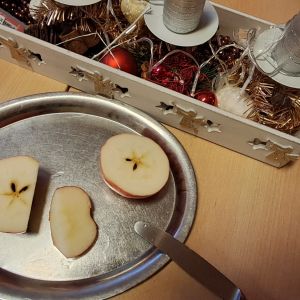 Pejskové_prosinec 2025