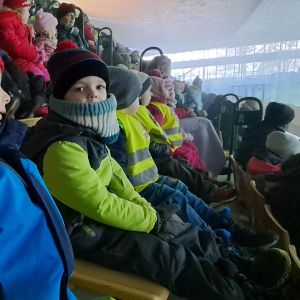 Lední revue v Příbrami 2025