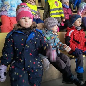 Lední revue v Příbrami 2025