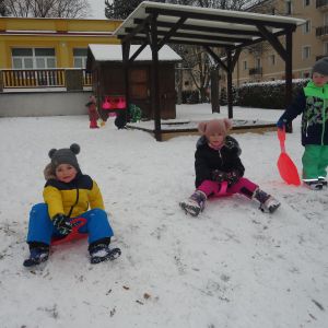 Radost ze sněhu_leden 2026