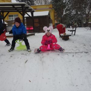 Radost ze sněhu_leden 2026
