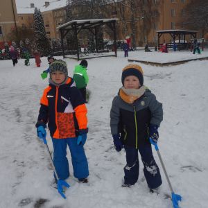 Radost ze sněhu_leden 2026