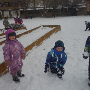 Radost ze sněhu_leden 2026