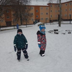 Radost ze sněhu_leden 2026