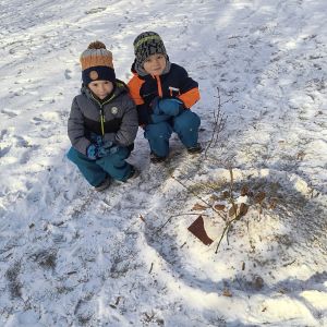 Radost ze sněhu_leden 2026