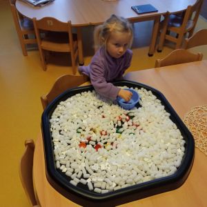 KUŘÁTKA_leden 2026