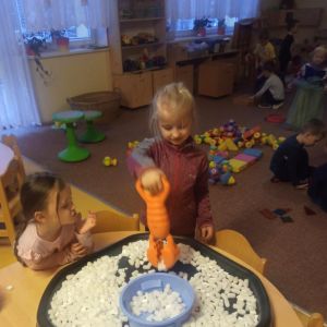 KUŘÁTKA_leden 2026