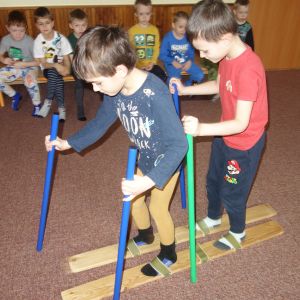 Kočičky_leden 2026