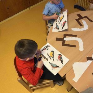 KUŘÁTKA_leden 2026