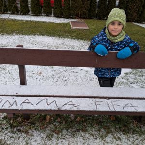 Kočičky_leden 2026